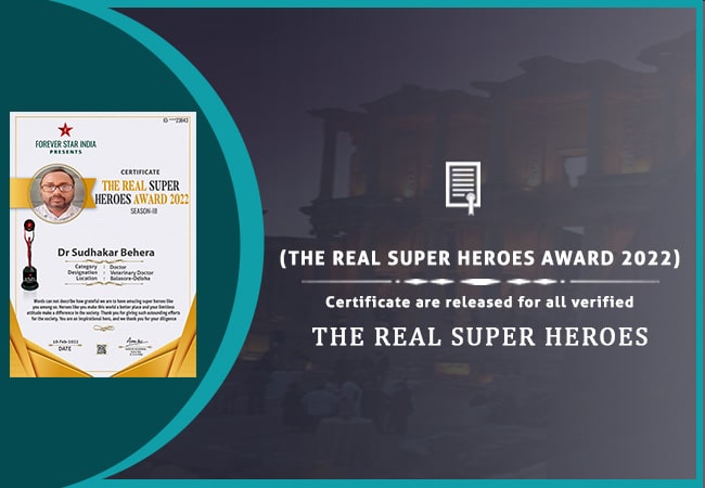 Real Super Heroes Awards 2022 E Certificate